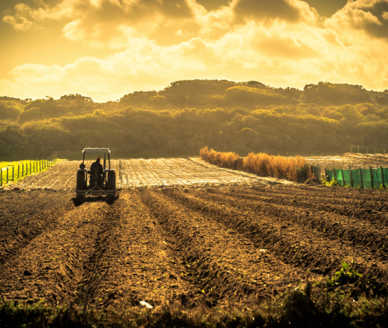 agriculture
